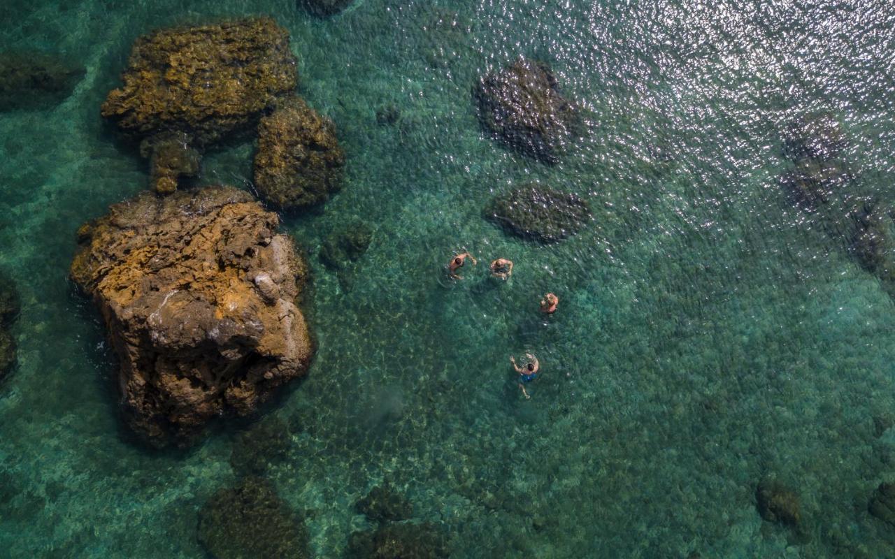 Los Vivos Beachfront Experience Pochote Dış mekan fotoğraf