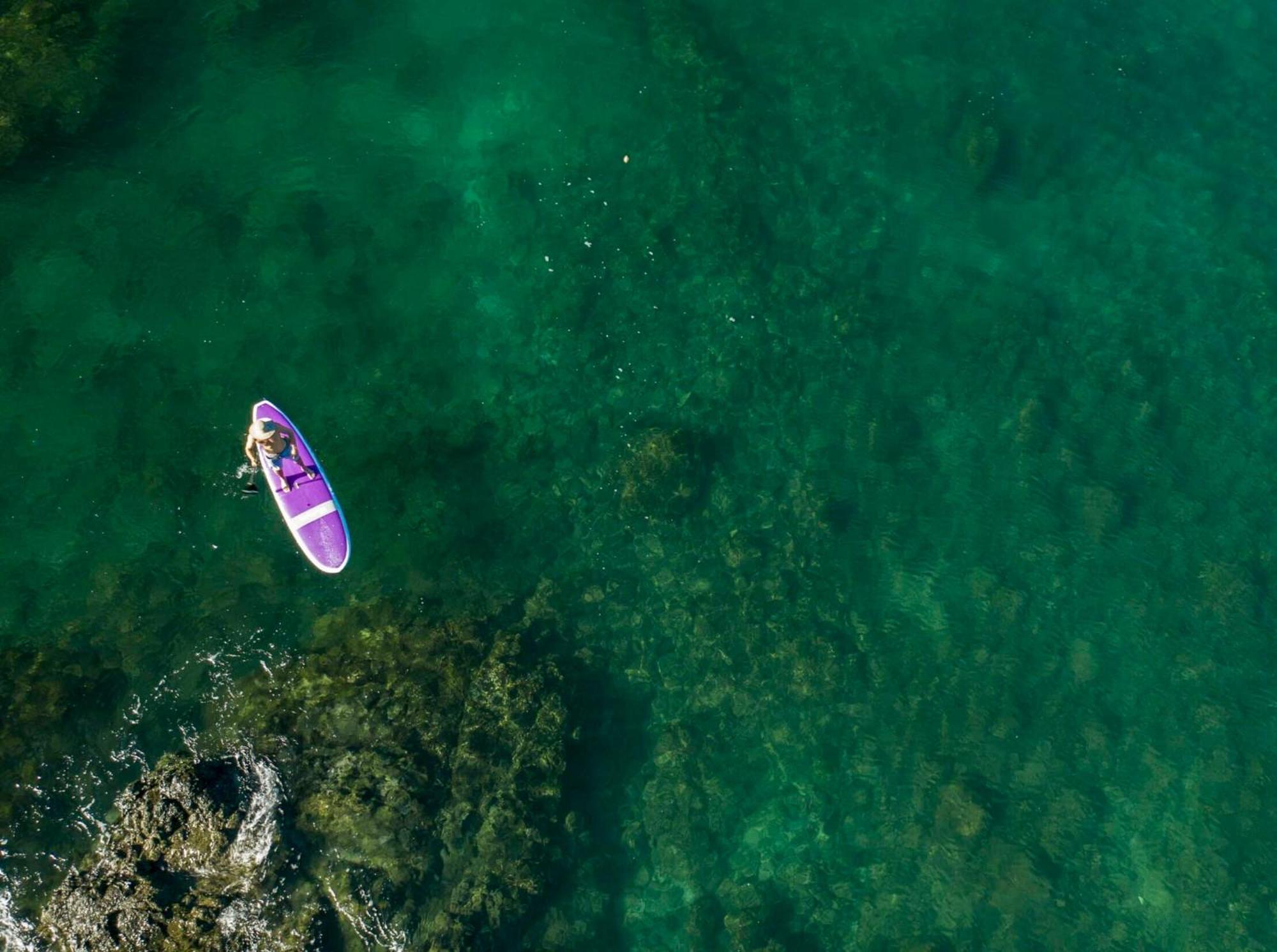 Los Vivos Beachfront Experience Pochote Dış mekan fotoğraf